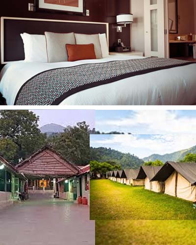 Stay-Services-ashu-tour-travel